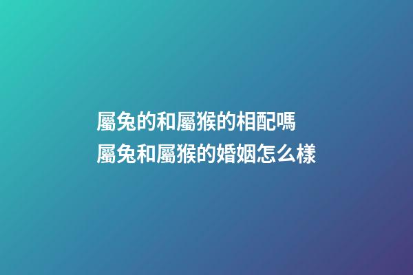 屬兔的和屬猴的相配嗎 屬兔和屬猴的婚姻怎么樣-第1張-觀點-玄機派